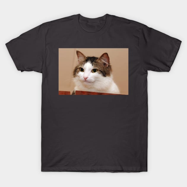 Original Starecat T-Shirt by eradication0